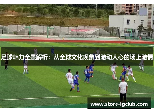 足球魅力全景解析：从全球文化现象到激动人心的场上激情